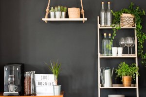 Plantas para decoração de Interiores: Como escolher?