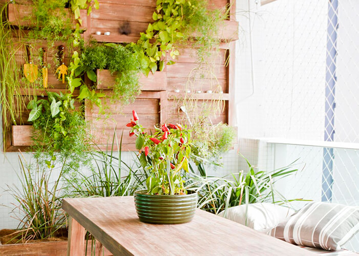 foto com fundo contendendo uma horta na parede, feita com caixinhas de madeira e tábuas no fundo. Mesa de madeira com arranjo de pimentinha em cima