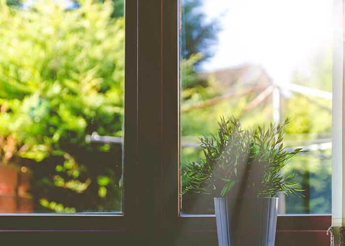 Vaso de planta verde em foco na frente da janela de vidro