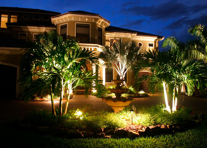 Jardim na frente da casa com vários coqueiros com refletores verdes os iluminando_