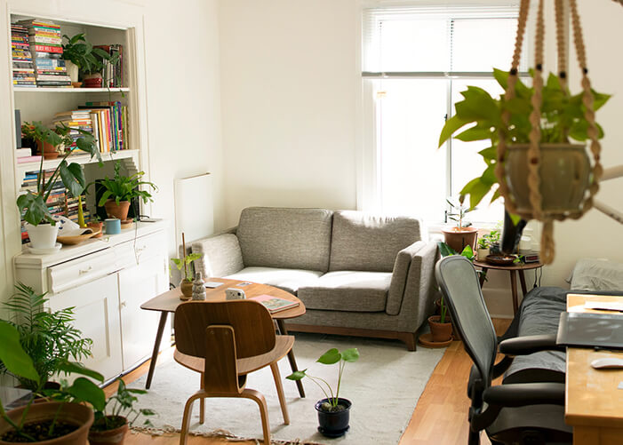 Sala de estar com sofá cinza, prateleira com livros e plantas espalhadas