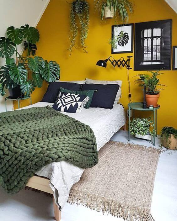 Quarto com parede amarela e várias plantas deocrativasQuarto com parede amarela e várias plantas decorativas