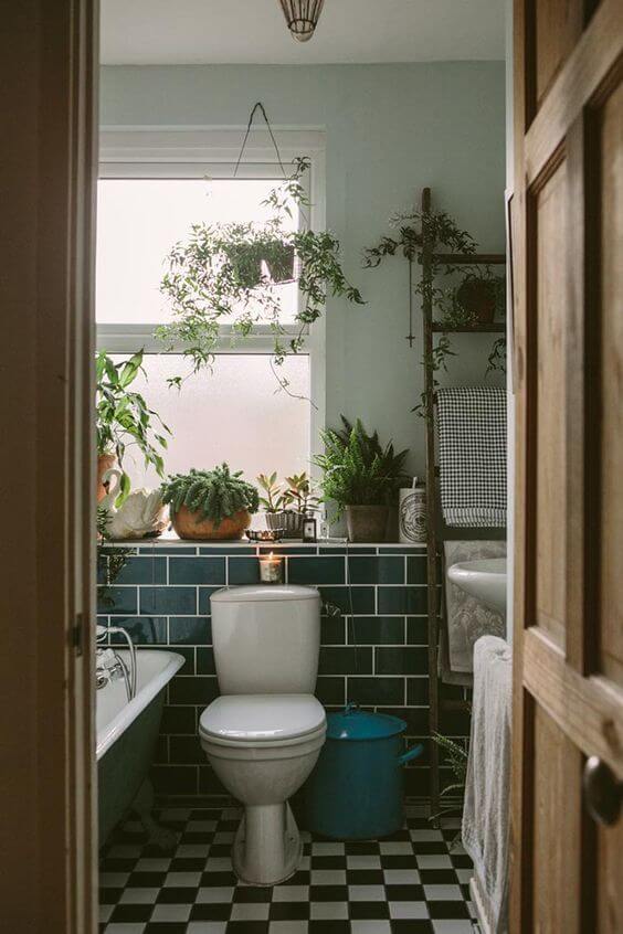 banheiro com piso quadriculado e ornamentado com plantas