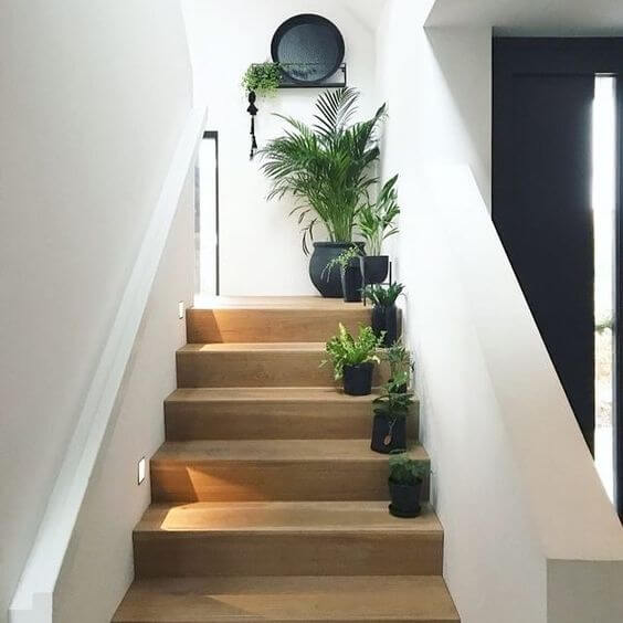 escada de madeira com vasos de várias plantas