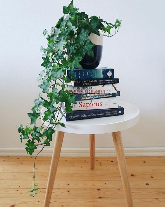 mesinha redonda branca apoiando uma pilha de livros com um vaso de uma hera inglesa em cima