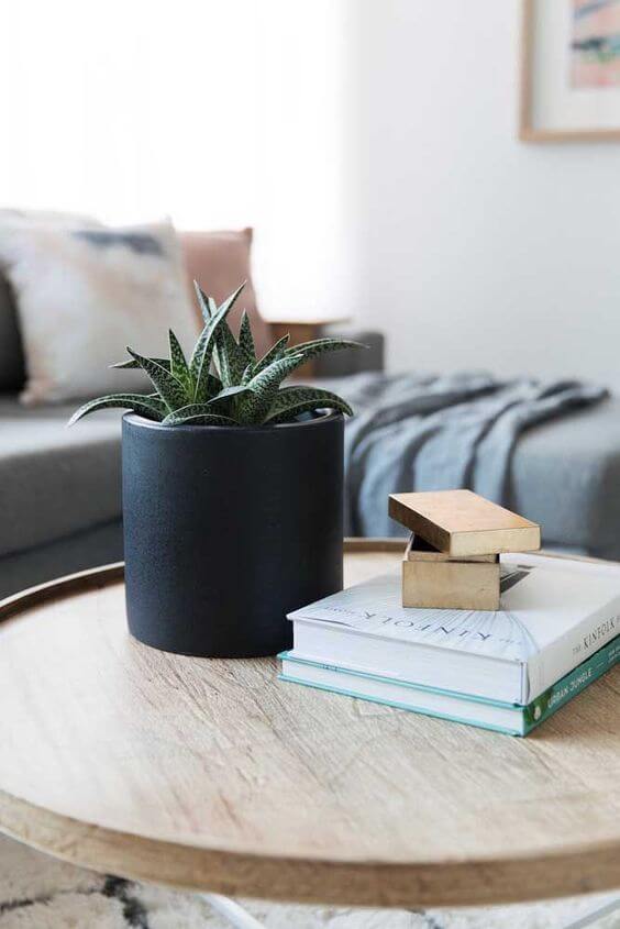 planta babosa em foco no vaso preto em cima de mesinha redonda