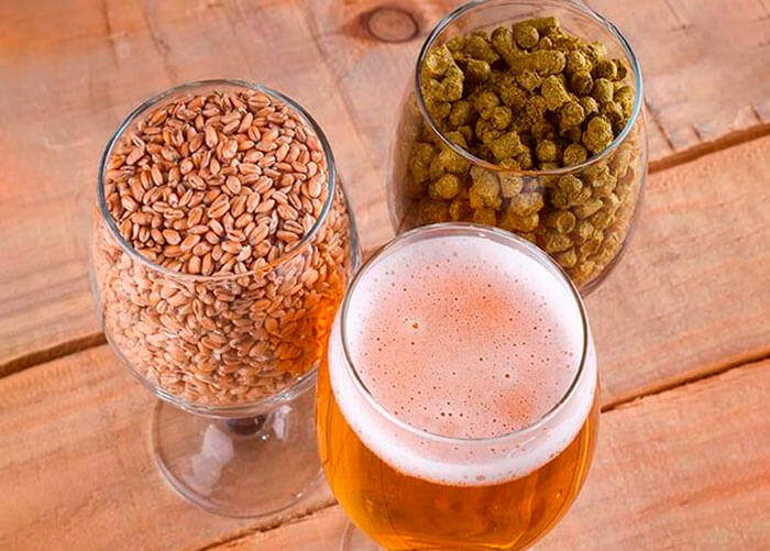 três-copos-um-com-cerveja,-um-com-cevada-e-um-com-lúpulo